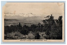 c1930's View Of Sneffel's