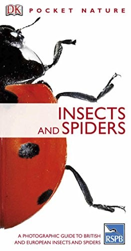 Insects and spiders - and,