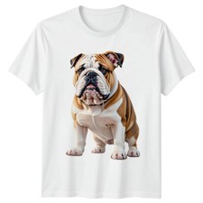 English Bulldog Dog Breed