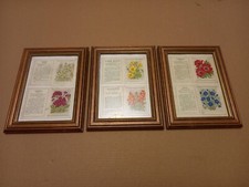 1934 kensitas silk flower - 6x,