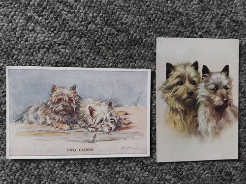 Cairn dog postcards 1930s