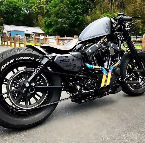 Harley davidson sportster - sportster, 48