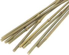 10x Large 5ft Bamboo Canes Thick Stick Strong Heavy Duty Plants Garden Supported