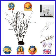 5PCS Curly Willow Branches - 30.7 Inch Bendable Decorative Twigs for Home Decor