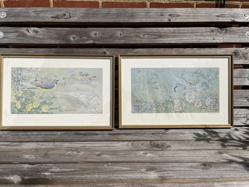 Eric ennion framed - ennion,