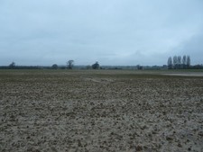 Photo A3 Saturated fields