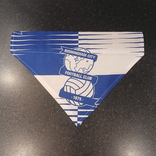 Medium birmingham city - medium,