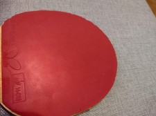 Butterfly tenergy - butterfly,