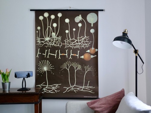Vintage school wall map - vintage,