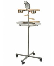 Rainforest parrot bar - parrot,