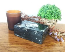 Rectangular  Goniatite