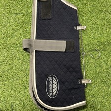 Weatherbeeta Thermic Dog Rug