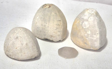 3X Echinoid. 80 million years old, Upper Chalk - Cretaceous period. 2B code