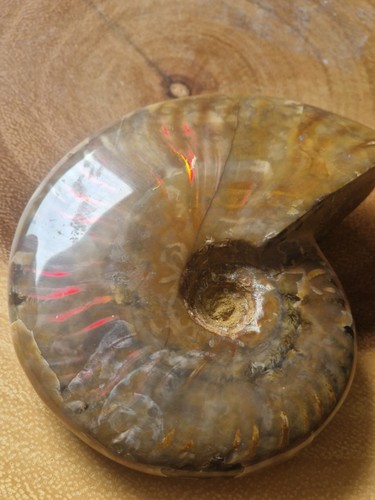 Polished iridescent - polished,