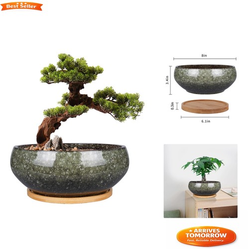 Elegant inch glazed - elegant, 8-inch