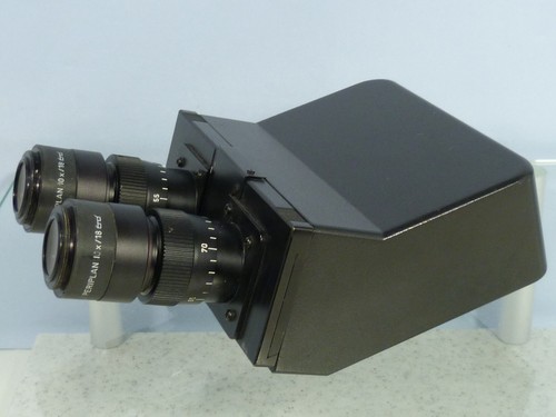 Leitz dialux binocular head - leitz, +