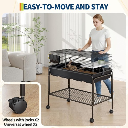 Guinea pig cage hay - pig,