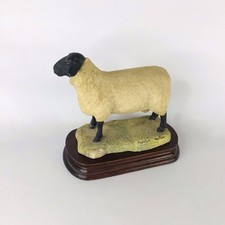 Border Fine Arts Suffolk Ram