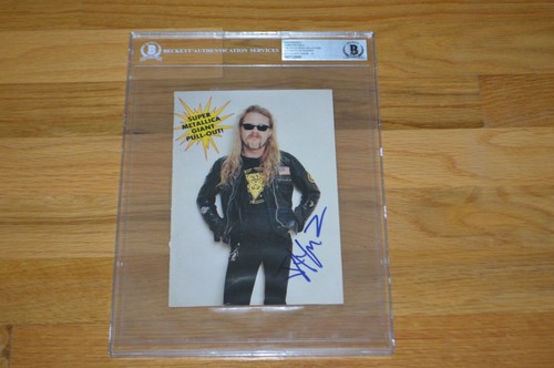 Metallica james hetfield - ~,