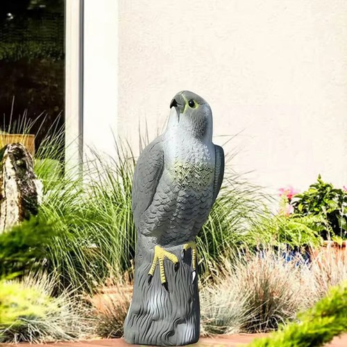 Realistic eagle falcon decoy - realistic,