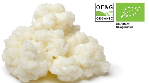 10g certified organic milk - 10g,