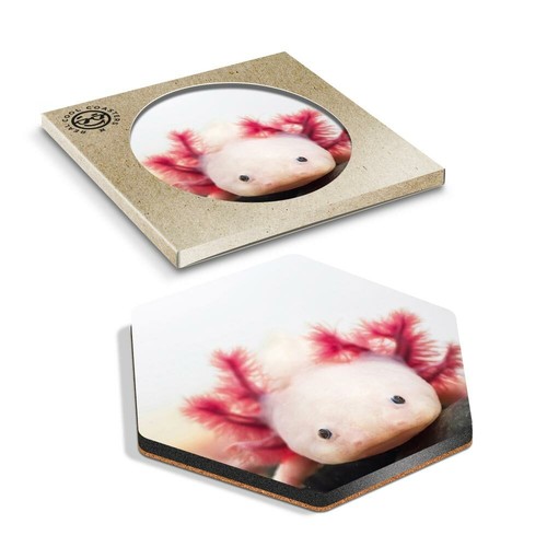 Hexagon coaster axolotl - x,