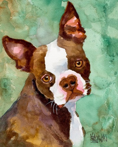 Boston terrier print - boston,