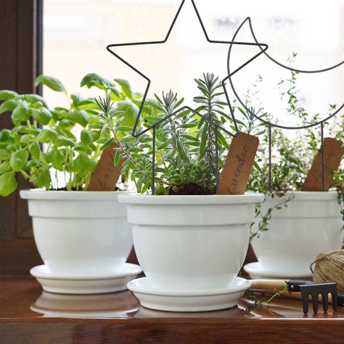2pcs five pointed racks - 2pcs, five-pointed