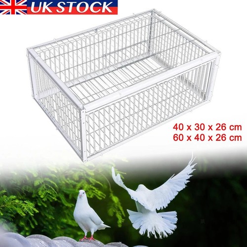 Pigeon trap cage single - cage, way