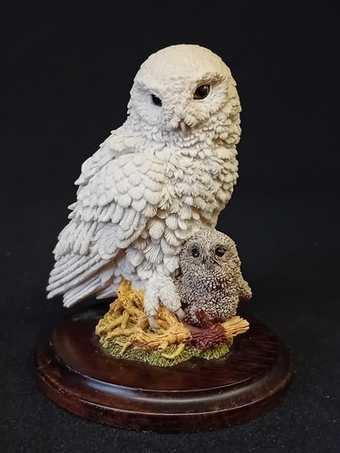 Country artists snowy owl - 'snowy, &