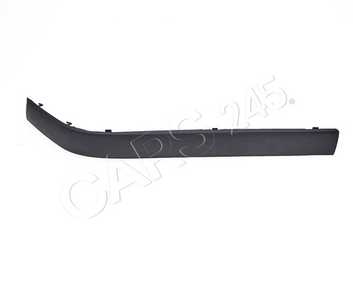 Front bumper moulding - front, for