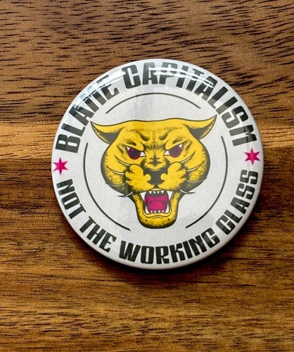 Anti capitalism protest pin - anti,