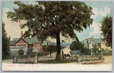 NEWTON ABBOT The Oak Tree, Devon Postcard by Peacock Unused