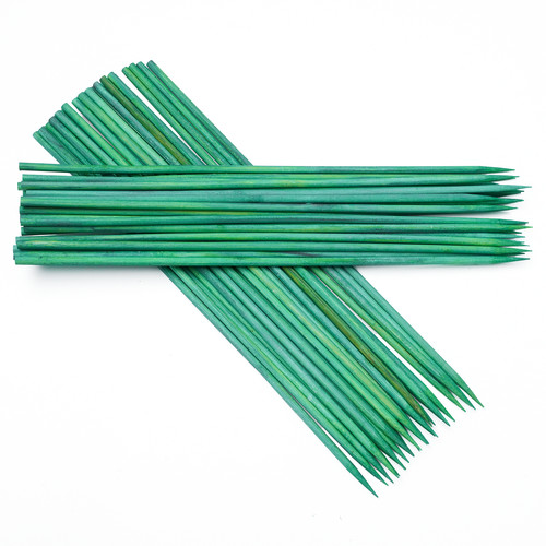 30cm green bamboo - bamboo, garden