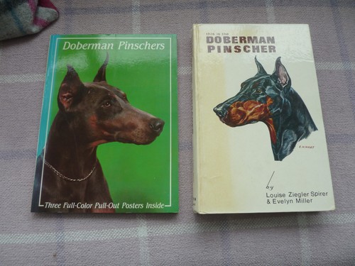 Dobermann pinscher this is - (this,