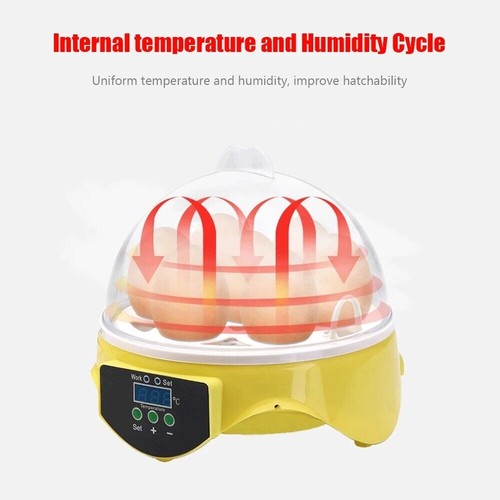 Small home egg incubator - egg,