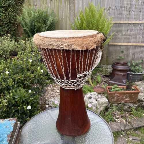 Djembe drum - djembe,