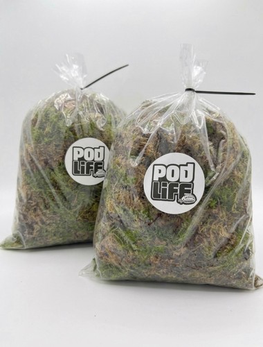 Premium live welsh - premium, sphagnum