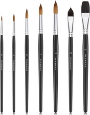 Sable Brushes Professional