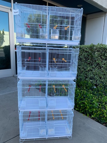 Ste stackable breeding - of,