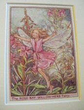 Vtg Flower Fairies Print &