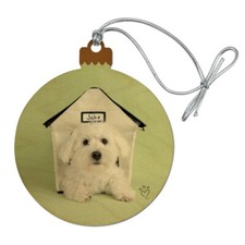 Bichon Frise Maltese Puppy Dog