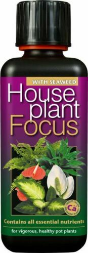 Growth technology house plant - technology,