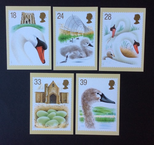 1993 abbotsbury swannery - gb,