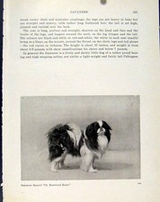 Original Old Vintage Print