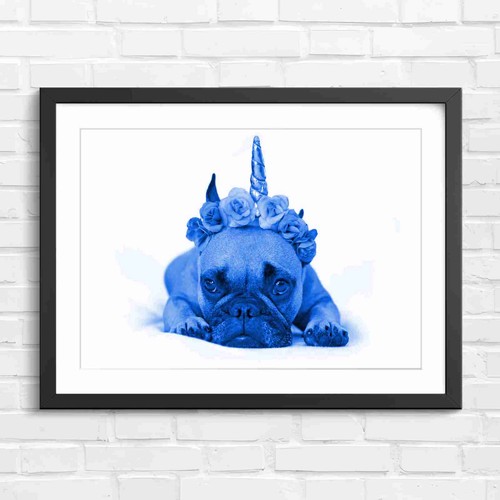 Adorable french bulldog with - adorable,