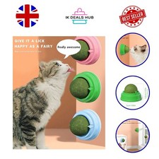 Catnip Wall Toy Rotatable