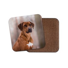 Cute Rhodesian Ridgeback Dog Coaster - Puppy Dogs Animals Pets Girls Gift #16680