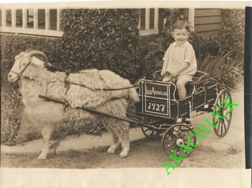 1927 photo boy goat - 1927,