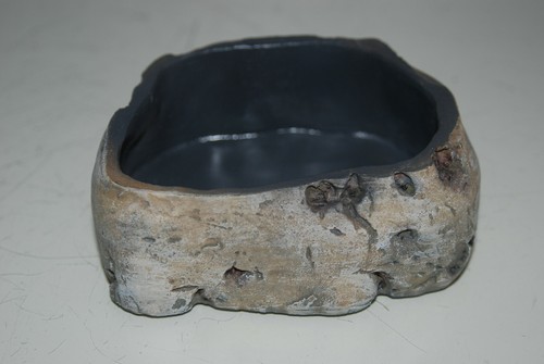 Vivarium reptile rock effect - reptile,